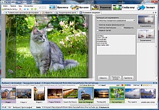 У фоторедакторі Artensoft Photo Editor є всі основні і необхідні інструменти для обробки зображенні