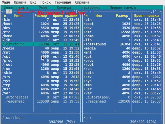 Для того, щоб Ви розуміли, про що йде мова, я відкрив каталоги файлової системи Linux через файловий менеджер Midnight Commander (MC)