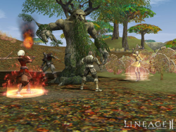 Сцена битви в онлайн-грі «Lineage II»   (З сайту www